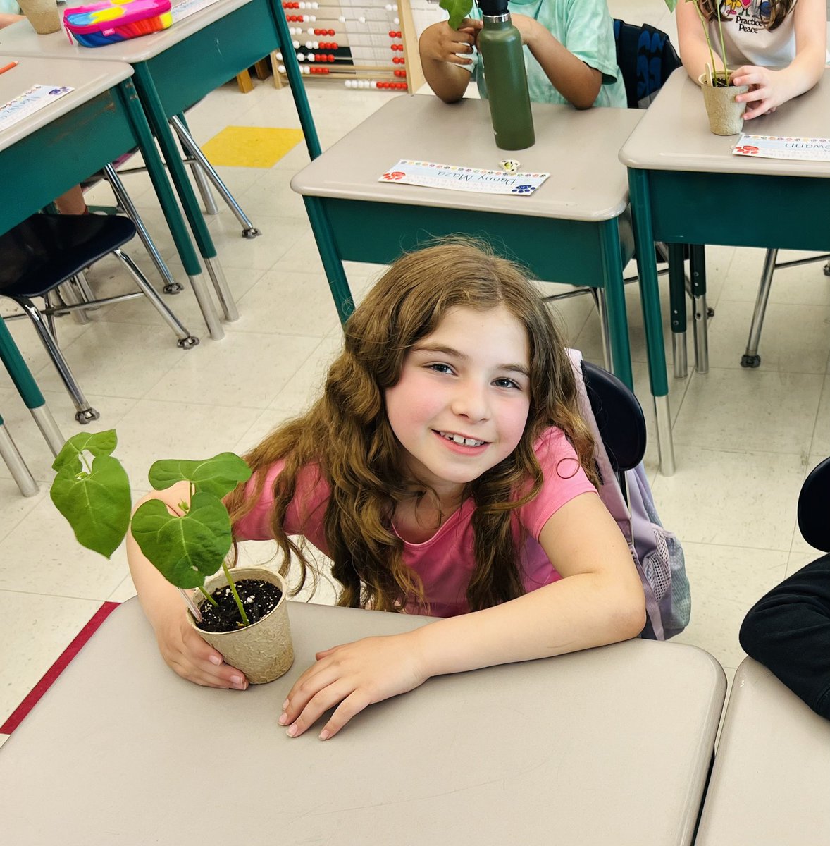 It was finally time to bring our green bean plants home! 🫘 🪴 #secondgrade #EarthDay project 🌎 💚