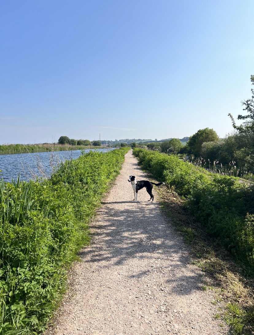 Jacky Francis (@jackyfrancis12) on Twitter photo Another beautiful weekend living in Devon <a href="/DPT_NHS/">Devon Partnership NHS Trust</a> @DPT_SecureCare <a href="/DPT_Jobs/">Join Devon Partnership NHS Trust</a> Another beautiful weekend living in Devon <a href="/DPT_NHS/">Devon Partnership NHS Trust</a> @DPT_SecureCare <a href="/DPT_Jobs/">Join Devon Partnership NHS Trust</a>