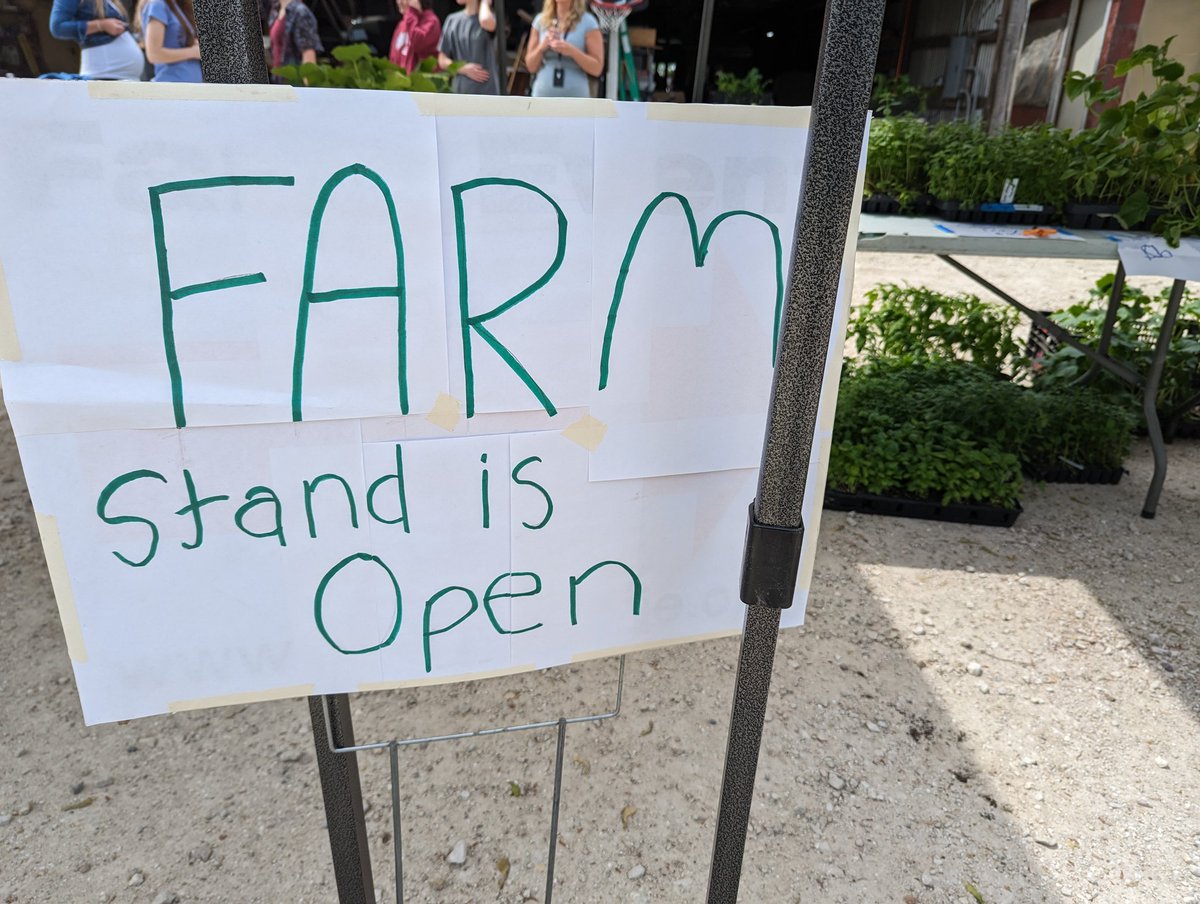 D127GetsReal tweet media