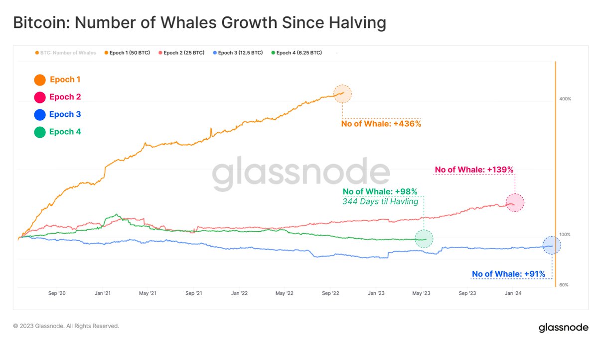 The growth in the Number of Whale on the #Bitcoin network has been  diminishing cycle upon cycle. However, when assessing for our current  cycle, we note a slight deviation in trend, with
