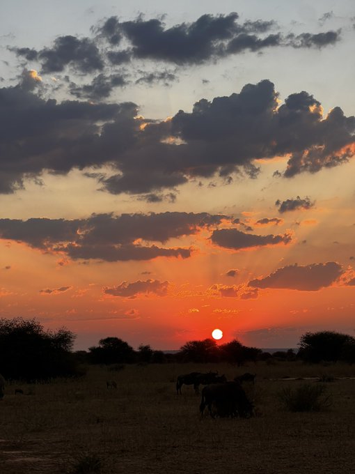 4 pic. Africa you were incredible 🫶 https://t.co/4zx643zXZ7<a href="/tag/gayporn"class="tags"><span>#gayporn</span></a><a href="/tag/onlyfans"class="tags"><span>#onlyfans</span></a>