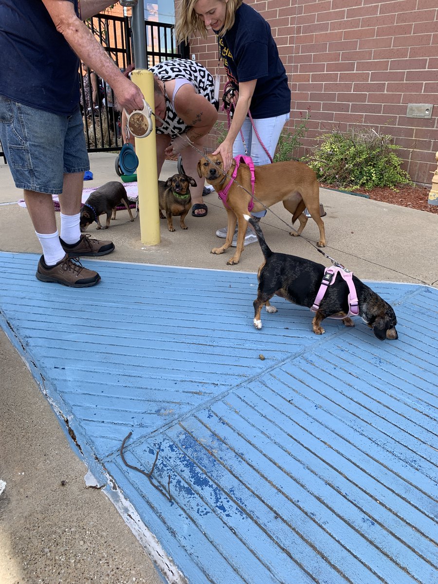 SpayNeuterNet's tweet photo. This past Saturday we had a vaccine clinic at @TheBridgeHRC offering vaccines, microchips, nail trims, testing, and preventatives.
Thank you to the Byrne Family Foundation Trust and @GiveWisely. Their support helps make events like these happen.
#CFTImpact https://t.co/qi5aleWYM1
