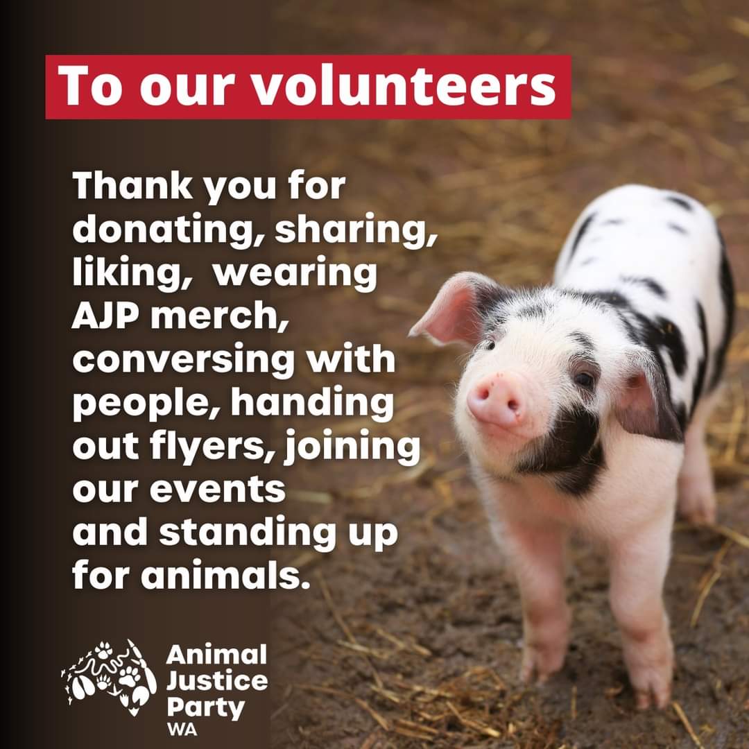 'Happy #NationalVolunteersWeek
AJP WA recognises & thanks all of the incredible volunteers who give their time, energy, skills ...
Your selfless acts of kindness & service inspire us all & help create a better world for everyone.
Let's celebrate & honour all of them.'
- AJP WA