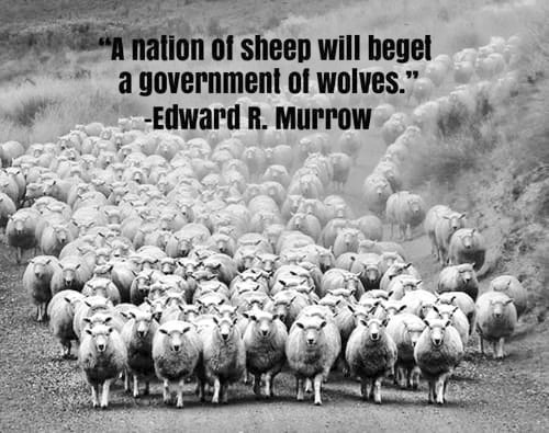 _truthseeker101's tweet photo. @loosebool when you start accommodating for man's *WANTS, WISHES & WILLS* his EGO grows tremend(danger)ously, he starts to objectify every living-thing n fellow men
(n women are = livestock)
#GroomingProcess #MindConditioning #GetThemWhileTheyAreYoung #SlavishMentality ..
@geechugalu ๐๐ผ๐๐ผ https://t.co/Is6GJTAaiz