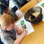 Photo by WCPS_Reception (@WCPS_Reception)