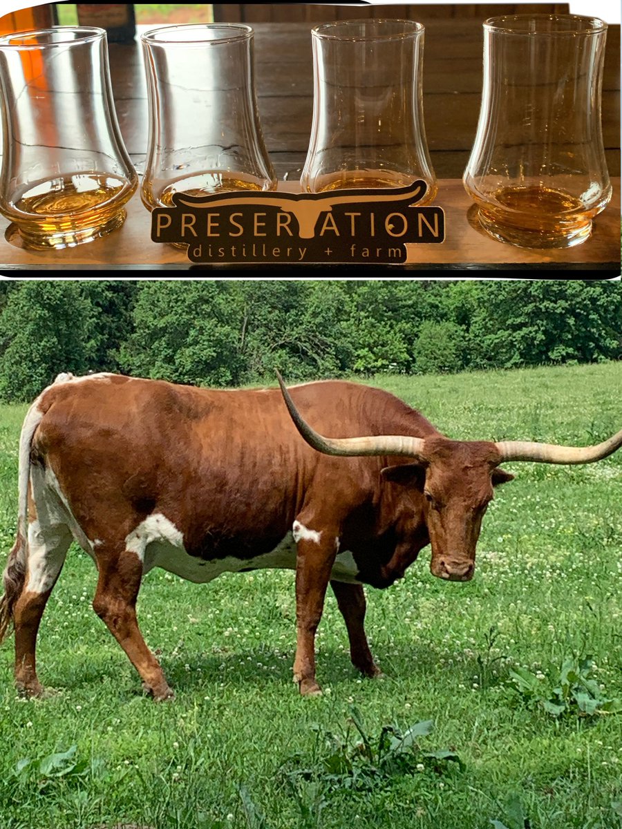 HelbrookStormy's tweet photo. 😎🥃”Preservation Distillery and Farm” was also amazing, on the next leg of my Bourbon Trail journey.
I had never seen Longhorn cattle in person before, and this just ADDED to the experience.
#Bourbon #BourbonTrail #PreservationDistillery #BardstownKy #GoodTimes https://t.co/vKnanYXMHh