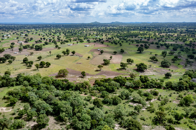 CIFOR_ICRAF's tweet image. Our Climate Change Atlas for #African trees shows how alterations in environmental conditions caused by human-caused #climatechange are likely to affect the locations where tree species can grow in Africa. 🌍🌳  

Check it out:↪️ bit.ly/3NEMpvx

#TreesPeoplePlanet