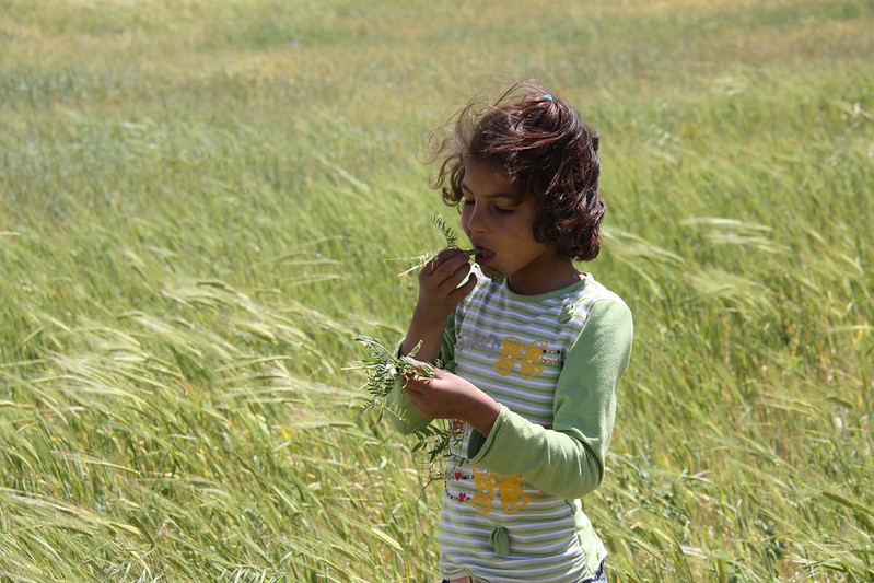 FeedtheFuture's tweet image. 🏃‍♀️ @AIMforClimate announces @ICARDA-@CGIAR Integrated Desert Farming Innovation Program (IDFIP), which aims to transform desert agriculture into highly productive food systems, as an Innovation Sprint at the #AIM4CSummit. Learn more about IDFIP: ow.ly/JxkY50OnSng