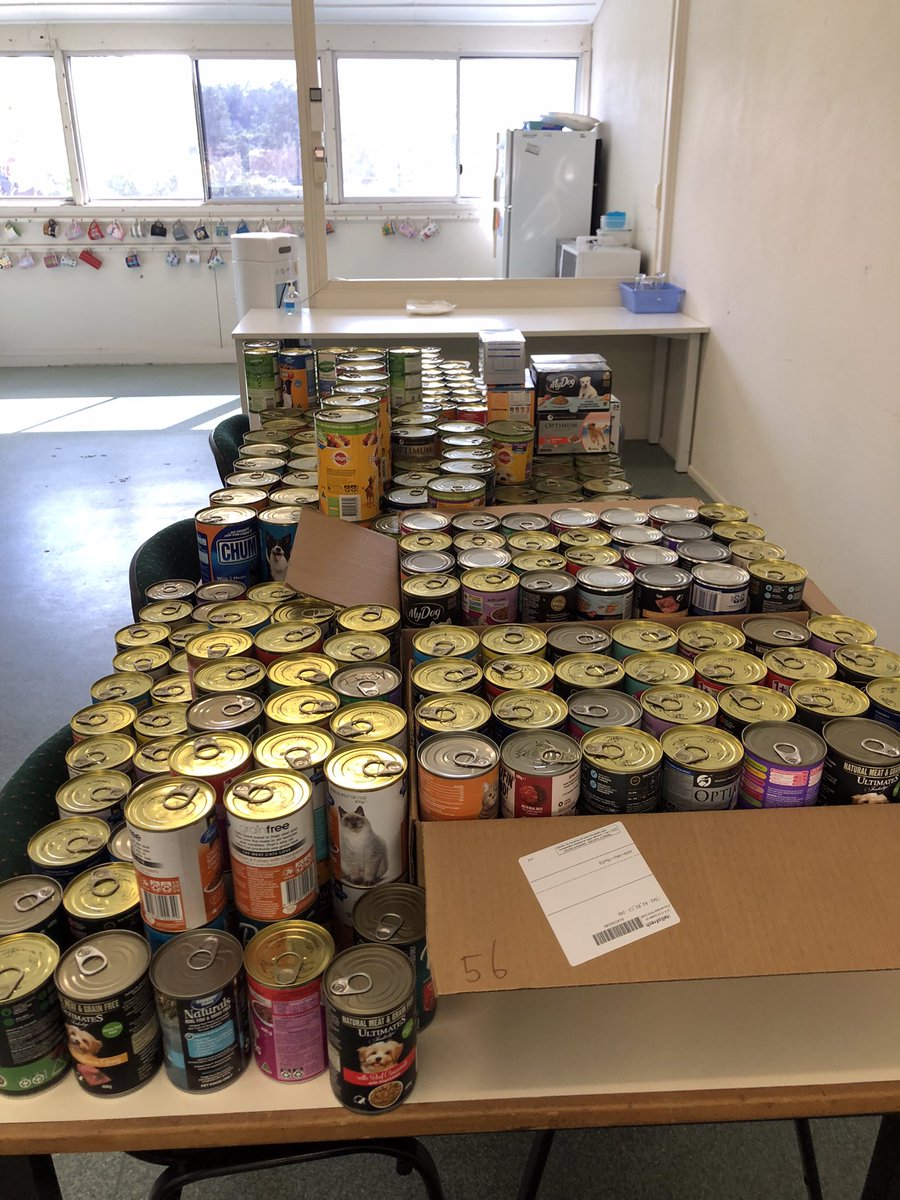 FernyHillsSS's tweet photo. Last Friday’s 400 Cans for K9s &amp; Cats was a huge success. Students, staff &amp; families collected 613 cans of pet food that will be donated to RSPCA animal shelter at Wacol. What a mammoth effort! Congratulations to our Senior Leaders for coordinating this project. https://t.co/EdqoVlw7OK