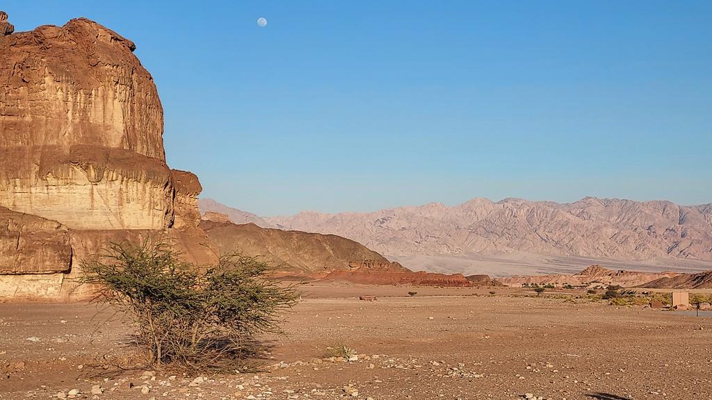 Birding_Lleida's tweet photo. Timna Park, un impresionante desierto lleno de vida y fauna en Israel
#israel #eilat #fotografia #viajar @DescubreIsrael @IsraelinSpain @IsraelTourism https://t.co/johU5j5u2h