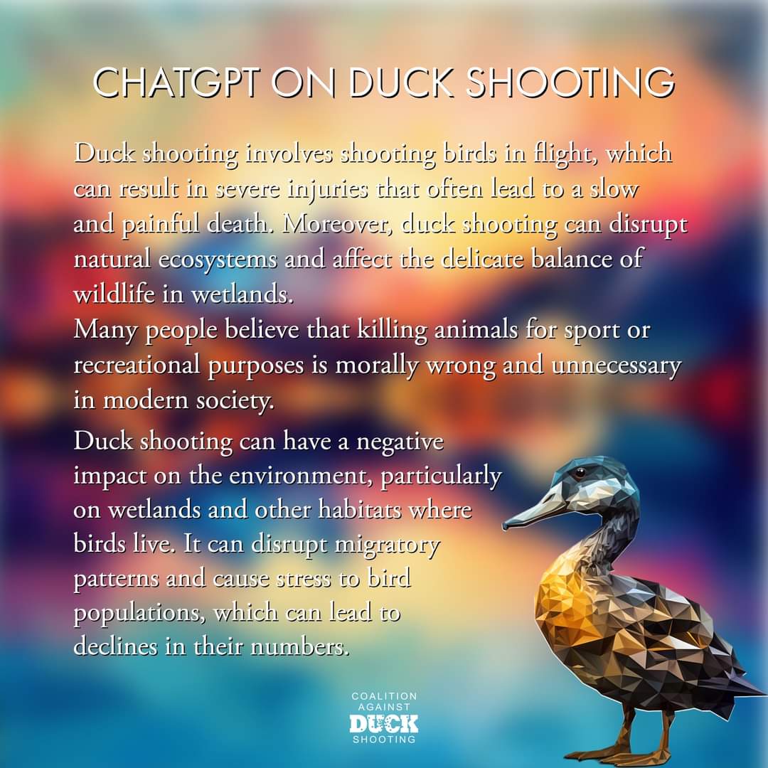 'We asked the artificial intelligence program ChatGPT, why duck shooting is wrong ...

If ChatGPT & the overwhelming majority of us get it, why can't shooters?' 🤔
#BanDuckShooting
Coalition Against Duck Shooting
- @DuckRescue
