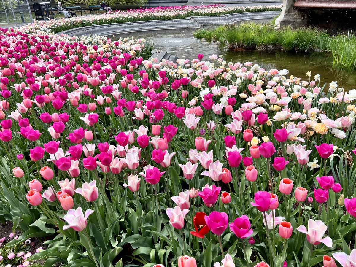 ingridsrinath's tweet photo. #SwedishSpring https://t.co/qtKUcN8Qoh