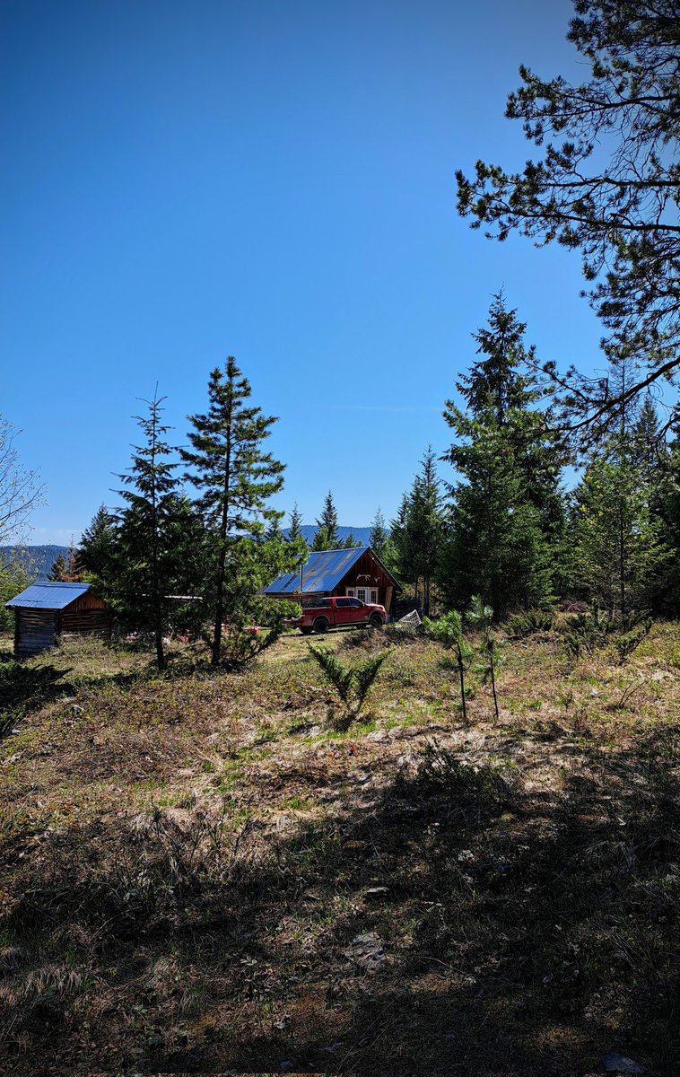 Lilfunhaver's tweet photo. Montana cabin campouts have begun! Some wonderful memories are being made here.
.
#childhoodmemories #camping #cabin #cabinbuild #tinycabin #pendleton #cabindecor #funhavers #themartinsons #Montana #montanaliving #offgrid #offgridbuild #Fortnite https://t.co/rBFFrJeZl0