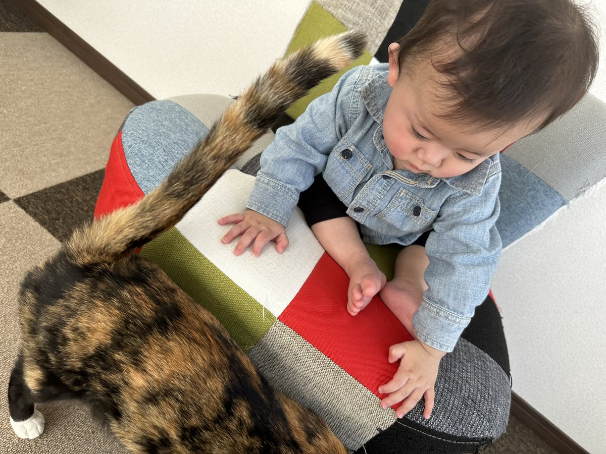 山口葉月 tweet media