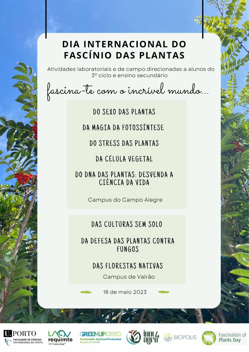 spredlab's tweet photo. Next May 18th is the International Plant Fascination Day 🌱 This day will be celebrated at @ciencias_fcup through a joint initiative between some Plant Biology labs 🌸 The goal of this initiative is to disseminate the  Plant science to high school students 👩‍🔬 https://t.co/TUO88QZofc