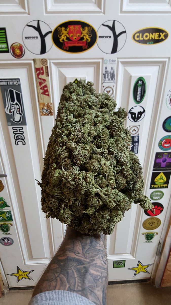 Who knows what this is called?💨💨💪
