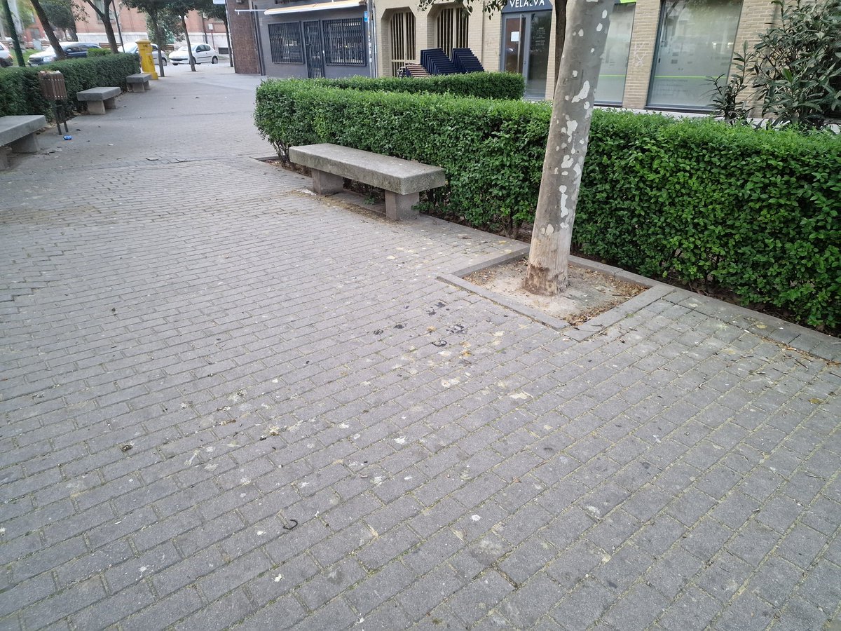 PuentesRoscar's tweet photo. @AIf0ns0 @oscar_puente_ Luego tienes a la loca de las palomas dándolas de comer todos los días a las 7:45, y @PoliciaVLL sin hacerla nada. Luego que la ciudad está llena de mierda. https://t.co/oPPBUEpVgc