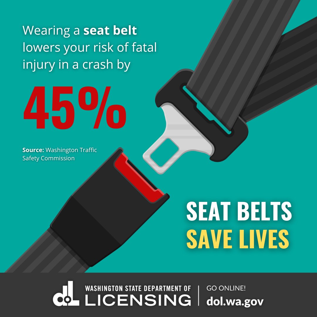 Learn about 193+ imagen seat belts save lives In.thptnganamst.edu.vn