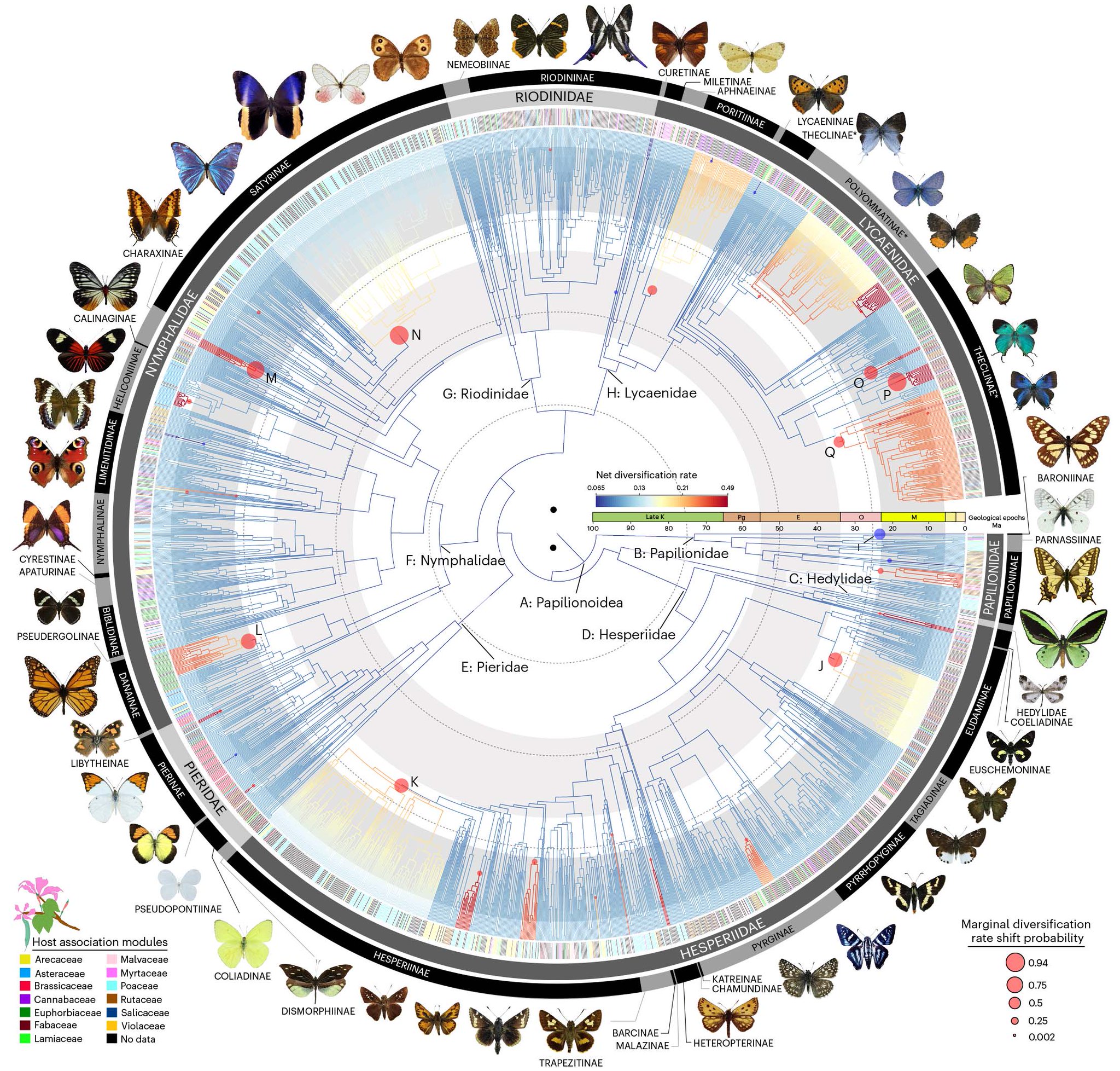 David Lohman on Twitter "After 7 yr of work, it's finally out! We present a molecular