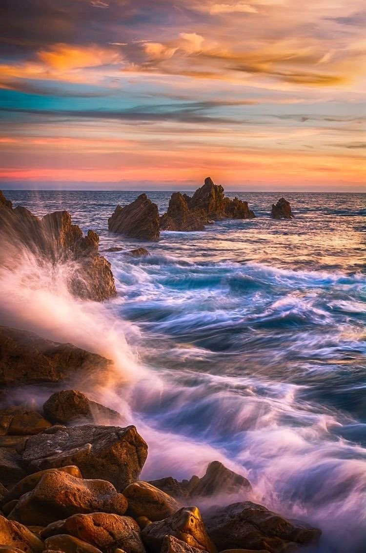 Beauty as evening approaches 🧡💛