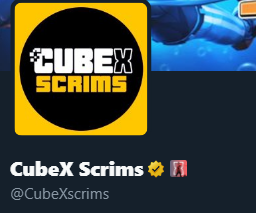 CubeX Scrims on Twitter: "Verified