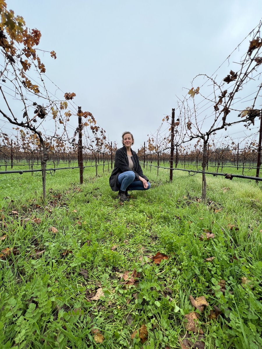🍷🌿 Vineyard Stories with Sophie Drucker - Mark your calendars, wine lovers! On May 20th at 11:00 am, we invite you to step into the vine-tangled heart of our esteemed Estate. 🌿🍷

Make a reservation now, and be part of this immersive experience. 
loom.ly/F42uZK0