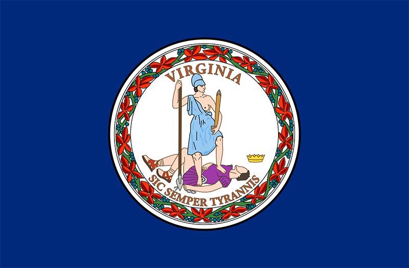 BrokenBrainArts's tweet photo. This is absolutely random, but I feel worth sharing… the fuck is with the Virginia State Flag? Just bizarre… https://t.co/dy83OHmalI