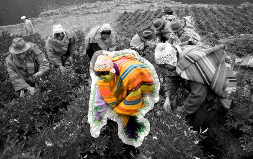 SNTEDUCINDIGENA's tweet photo. #MuyImportante Pueblos indígenas protegen el 80% de la biodiversidad del planeta. #Ecoosfera
Conoce + 👉 https://t.co/YJmtZBamXz
#LenguasIndígenas #MéxicoIndígena #TerceraRaíz #MiEducaciónMiDerecho #DecenioInternacionalDeLasLenguasIndígenas #ElSaberEsConocimientoIndígena https://t.co/5NcK7kTgLf