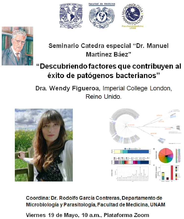 Rodolfo Garcia-C (@larvberg) on Twitter photo retomamos nuestros seminarios con una excelente expositora! enlace disponible por DM o enviar un correo a rgarc@bq.unam.mx retomamos nuestros seminarios con una excelente expositora! enlace disponible por DM o enviar un correo a rgarc@bq.unam.mx