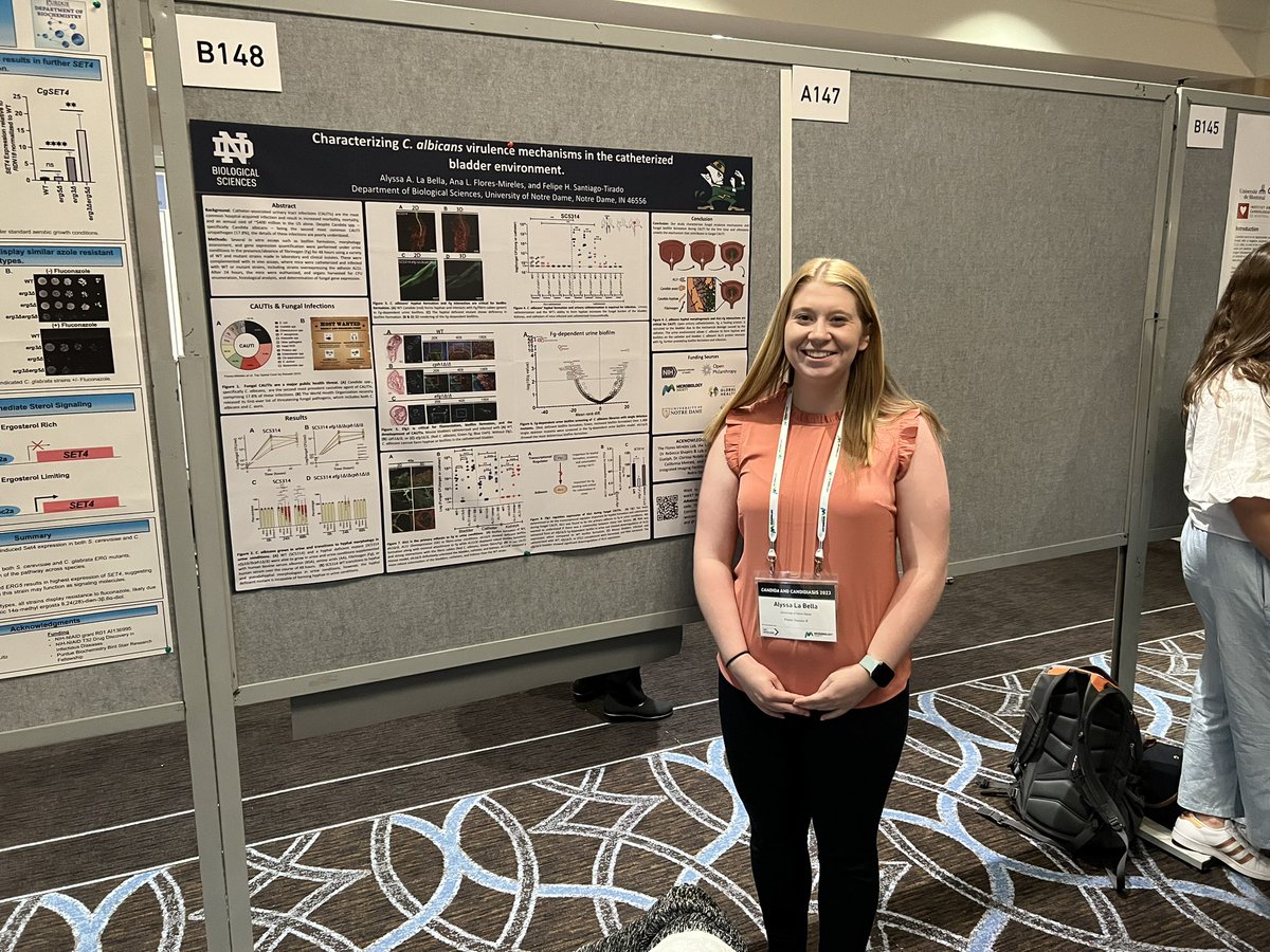 Felipe (@felipehst.bsky.social) tweet media