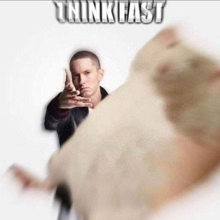 / / hey if u catch this rat it means 
we’re gonna plot &amp; write together