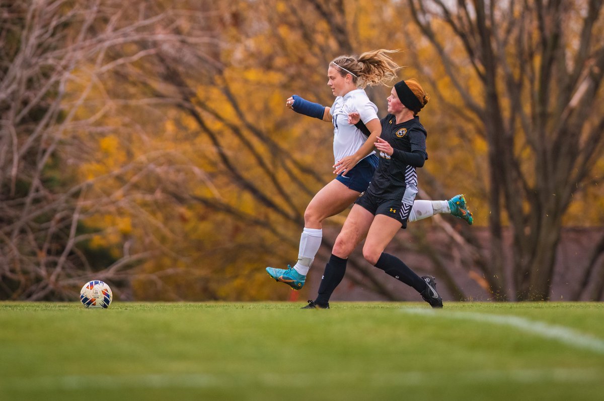 Travis Gallipo tweet media