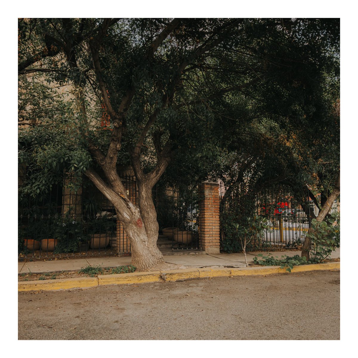 Gaboneirab's tweet photo. Gm desde la nostalgia. 
Una foto no solo evoca recuerdos visuales, despierta un sin número de sentimientos que siempre estuvieron ahí… solo que han permanecido dormidos. 
#streetphotography #remember #photograghy https://t.co/4uzdLSVvvG