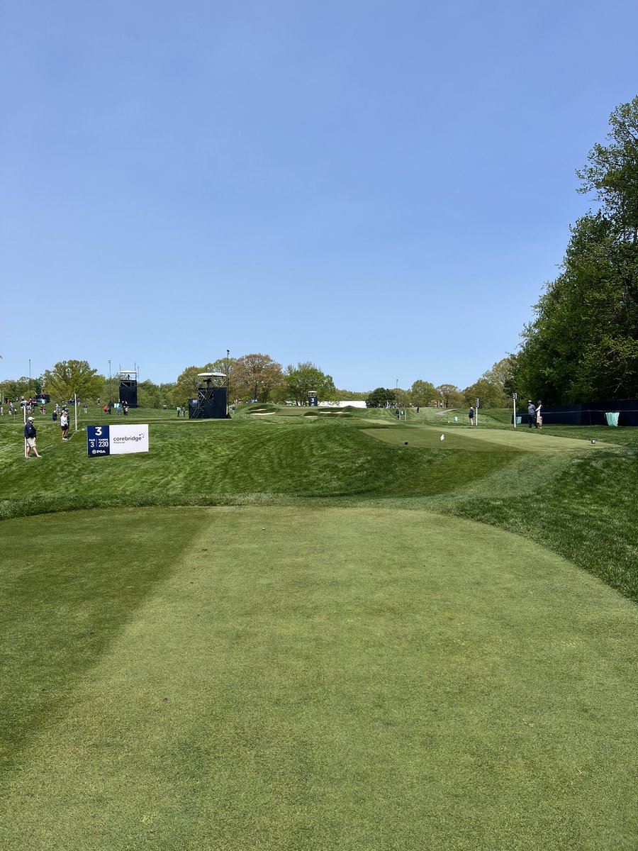 Matt Fitzpatrick tweet media
