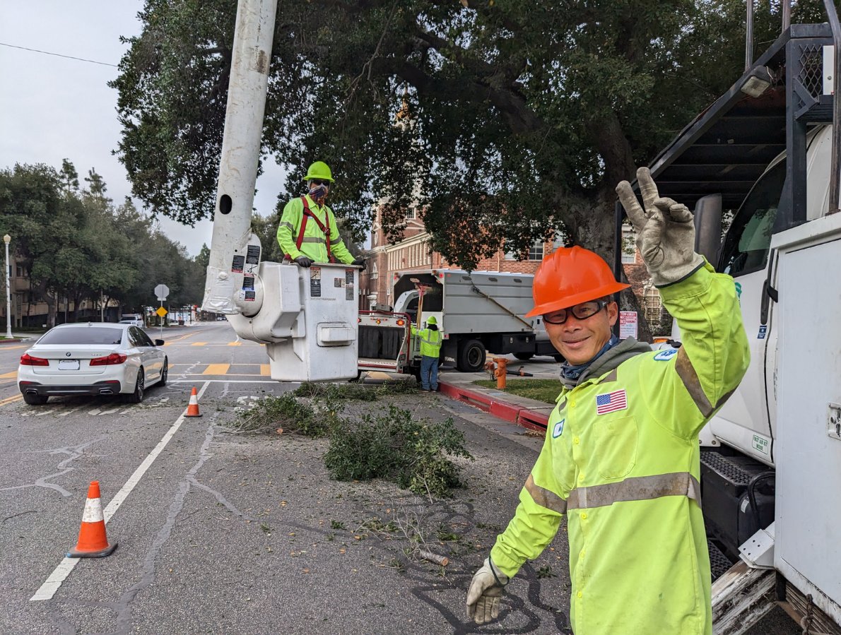 Press Release: Our Burbank 311 Mobile App Expands to Include Park and Forestry Services. 🌳

Report issues such as fallen trees and branches, park equipment concerns, and beehives on city-owned trees. Read more: bit.ly/3O6levU