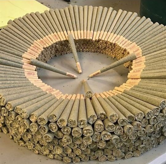 TopLeafList on Twitter "How long to smoke this? Me 30 Days Yes or No 