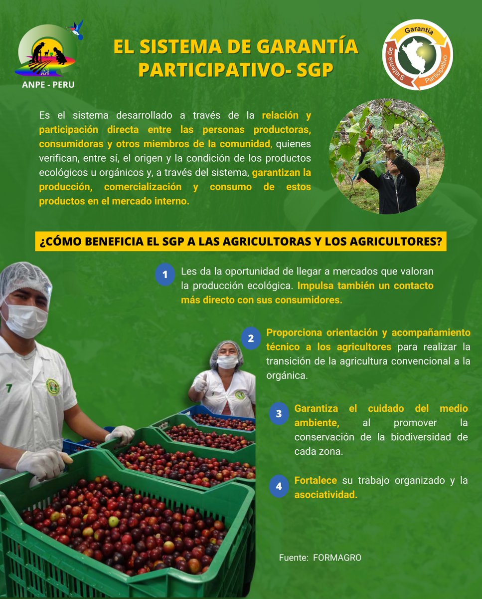 El #SGP en Perú fortalece la producción ecológica y orgánica, garantizando calidad y origen. Este sistema promueve acceso a productos de alta calidad, agricultura familiar, agroecología, biodiversidad y prácticas sostenibles. 🌿📣💪