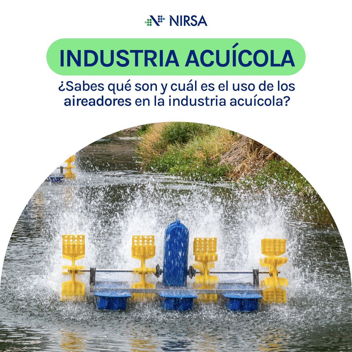 NirsaOficial's tweet photo. #AprendejuntoaNIRSA | ¿Sabías que? El #oxígeno en las piscinas de #camarón 🦐 es importante para la producción de esta especie. Dentro de la industria acuícola, se utilizan #aireadores con la función de oxigenar al agua. #PasiónPorAlimentarElFuturo 🍽❤#IndustriaAcuícola🦐 https://t.co/IJgIG9GhVg