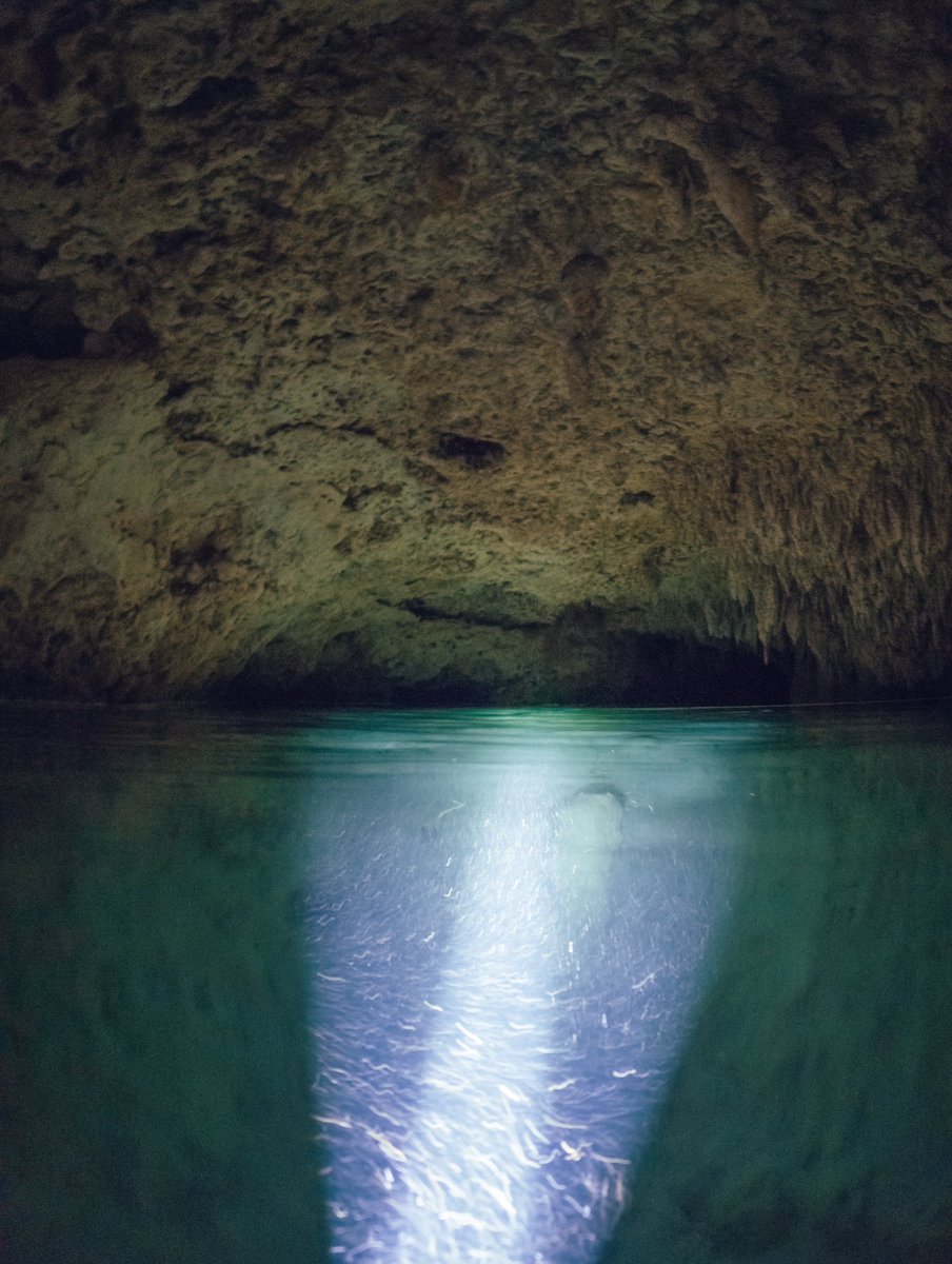 Aquí una de las cientos de cuevas y cenotes debajo de las vías del <a href="/TrenMayaMX/">Tren Maya</a> 

Antes tenia una selva encima, y estaba rodeada de vestigios arqueológicos 

Ahora, con la nueva colonización; se niega el impacto en este magnífico sitio. 

Aquí un 🧵 de la cueva Dama Blanca.