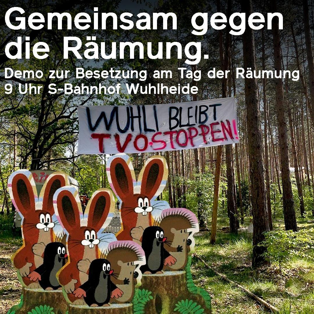 wuhli (@wuhlheidebleibt) on Twitter photo 