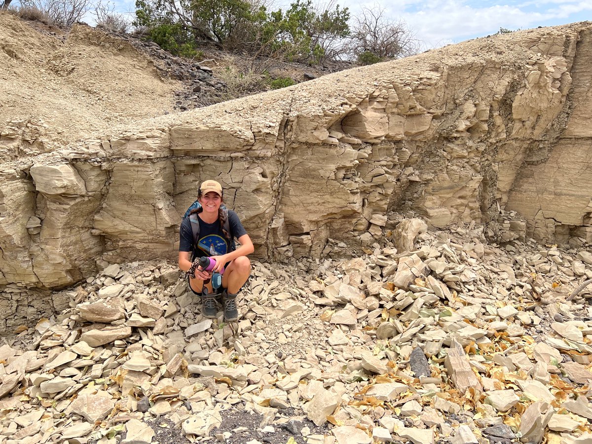 UC Chile -Pontificia Universidad Católica de Chile tweet media