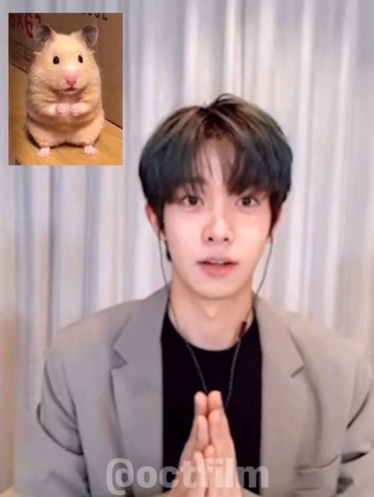 tinypikijake's tweet photo. น่ารักคับ 😭😭😭😭😭😭😭😭 https://t.co/jXTPtXt4td