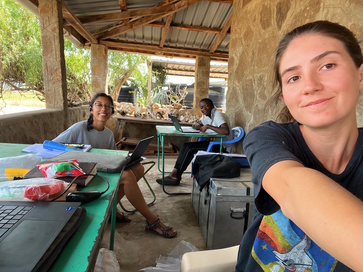 UC Chile -Pontificia Universidad Católica de Chile tweet media