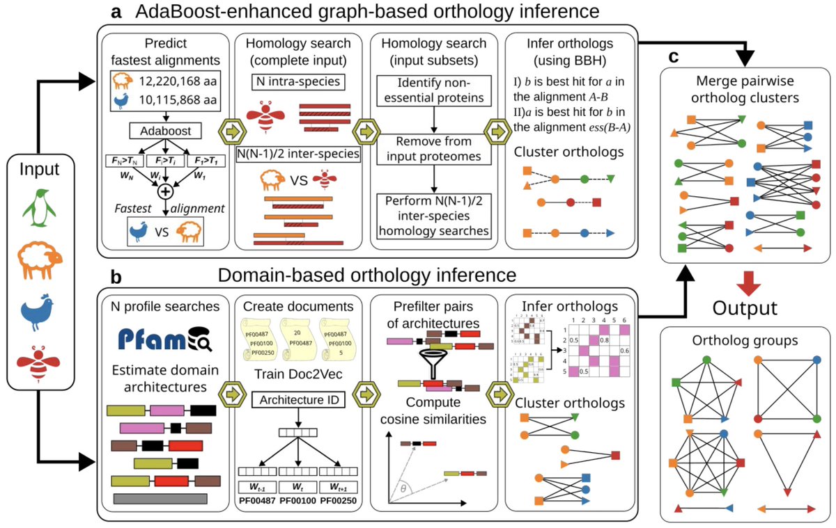 DdelAlamo's tweet photo. SonicParanoid2: fast, accurate, and comprehensive orthology inference with machine learning and language models

"The novel graph-based algorithm almost halves the execution time by avoiding unnecessary homology searches"

https://t.co/KMmXLL5A5n https://t.co/AGdJK9QRiF