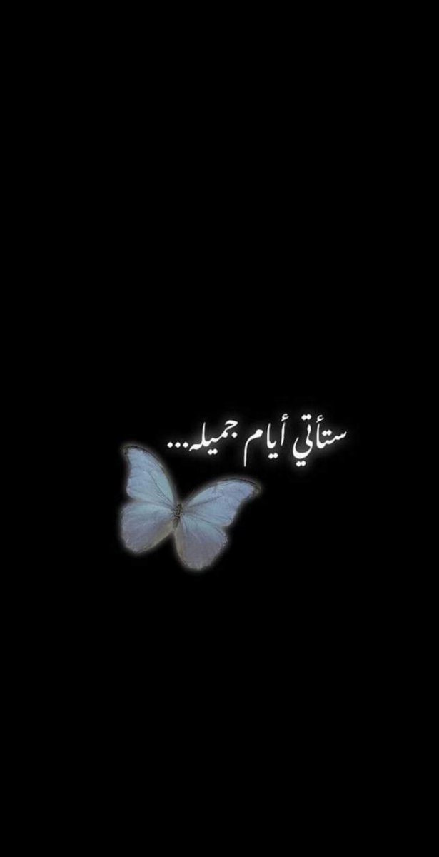 DALIA_SHABAN9's tweet photo. 🦋 https://t.co/umXAxqD2Wq