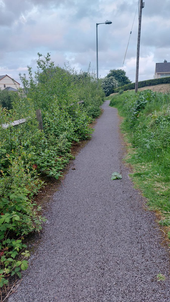simonmcgrory's tweet photo. Hi @donegalcouncil, any chance of a bit maintenance on the “temporary” footpath on the Achilly rd, Buncrana?? Impassable in some spots and dangerous/slippy when it’s wet. @PadraigMacL @jackm440 https://t.co/9O5gpUyFhs