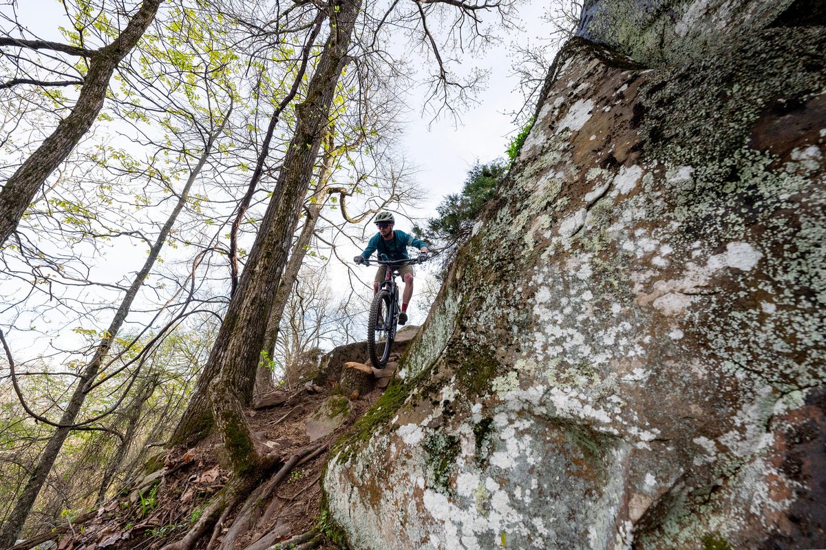 Arkansas Department of Parks, Heritage and Tourism tweet media