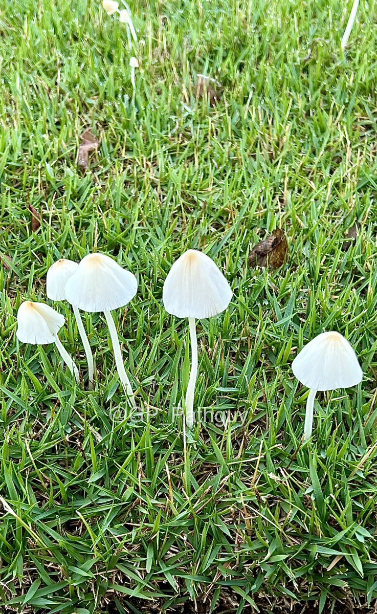 Glenn Murray tweet media