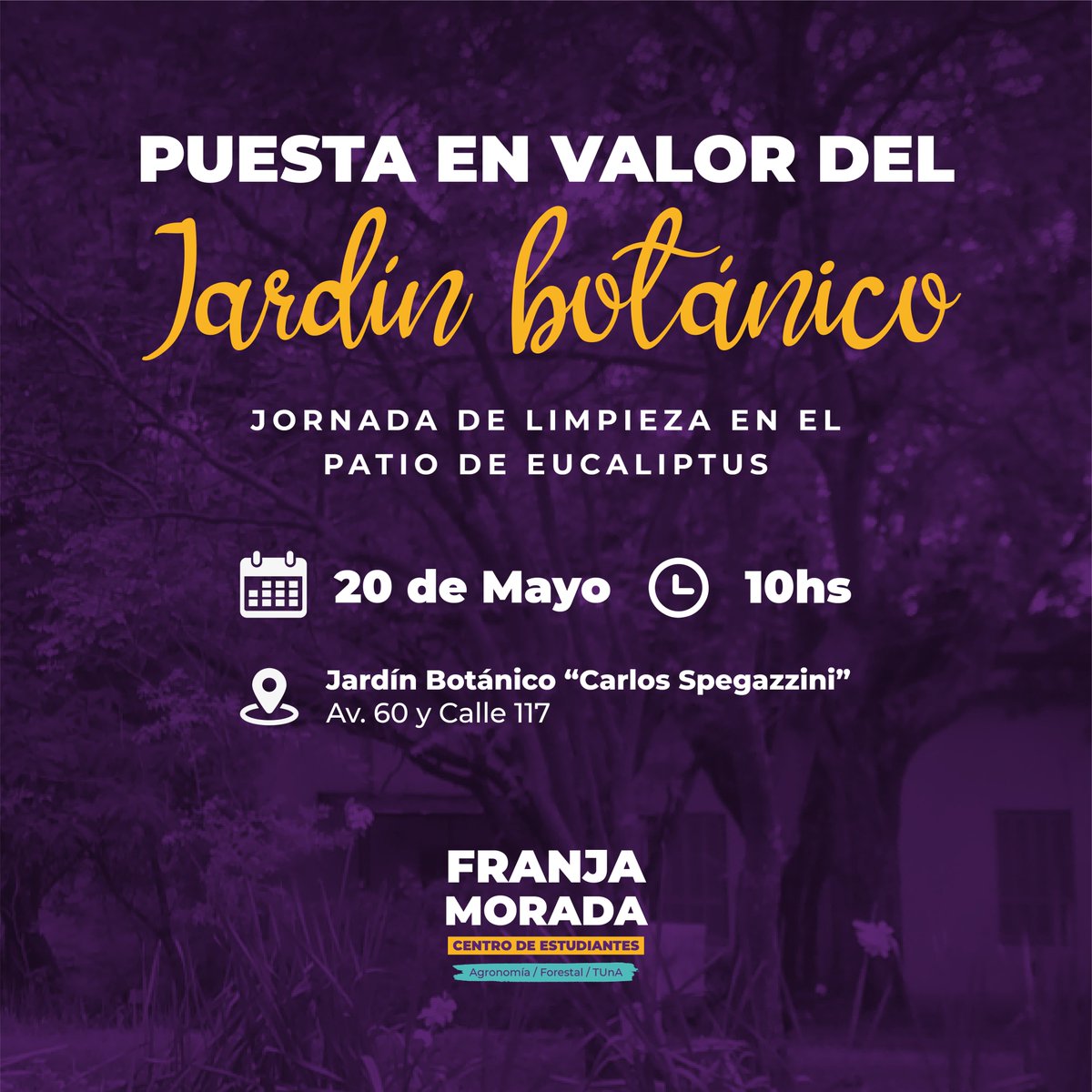 CEAF Franja Morada tweet media