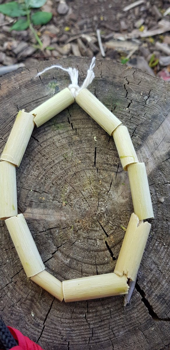 RootedInUnity's tweet image. So wonderful to be back at forest school with @UnityBlackpool after 2 bank holidays. Today the students really bloomed, showing teamwork, confidence and lots of resilience.